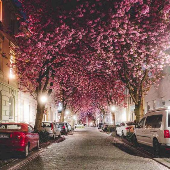 120-wett-2022-T.Kessler-1v1