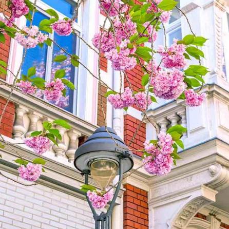 121-wett-2022-E.Schittenhelm-1v3