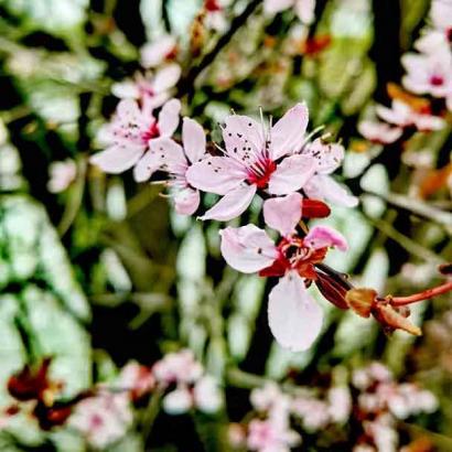 128-wett-2022-I.Benner-2v2