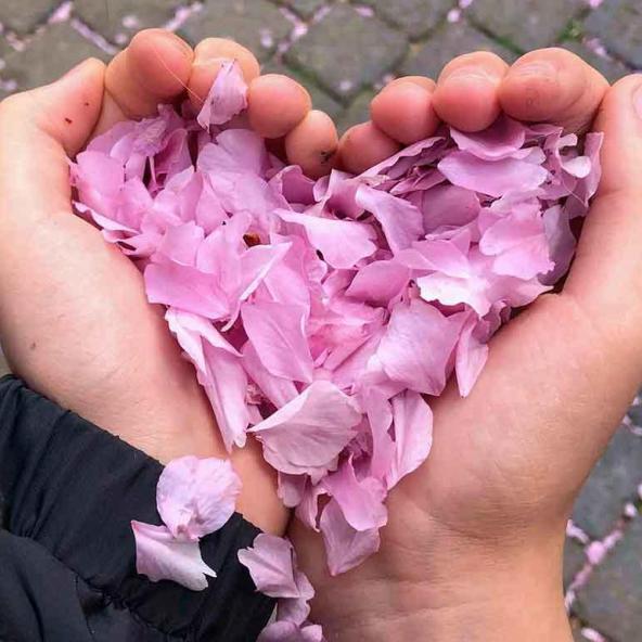 131-wett-2022-B.Brings-3v3