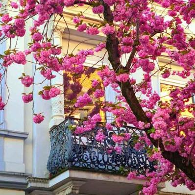 136-wett-2022-W.Adolph-2v3