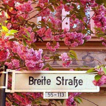 136-wett-2022-W.Adolph-3v3