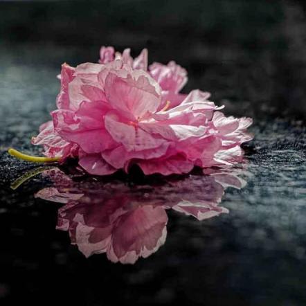 141-wett-2022-A.Meinhold-2v3