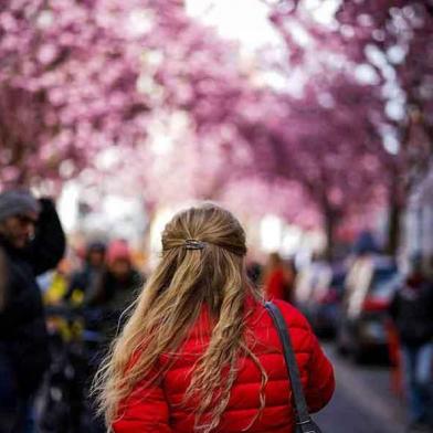 159-wett-2022-D.Koenig-1v3