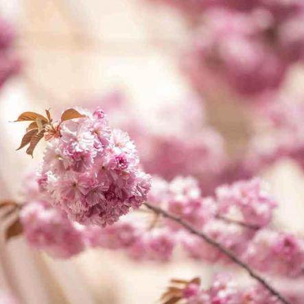 165-wett-2022-D.Arvando-1v3