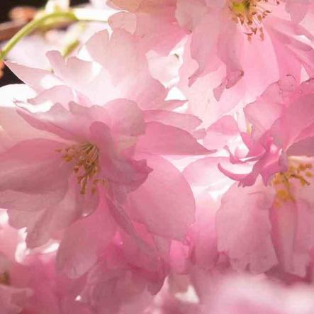 166-wett-2022-D.Arvando-2v3