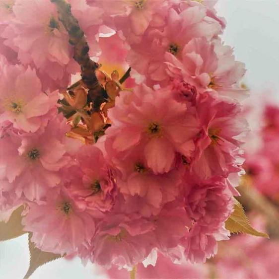 192-wett-2022-S.Mazzarott-1v3