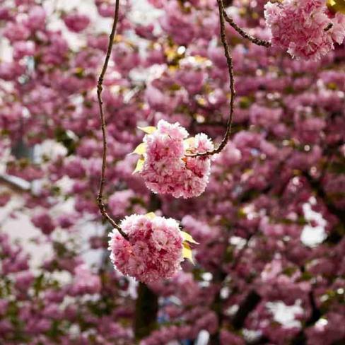 210-wett-2022-Y.Schwarz-1v3