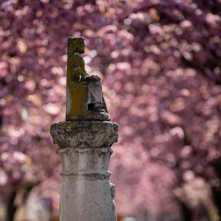 224-wett-2022-J.Kampers-1v3