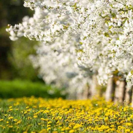 267-wett-2022-Chr.Alles-1v3