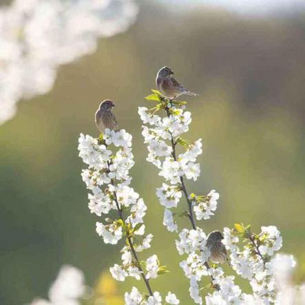 268-wett-2022-Chr.Alles-2v3