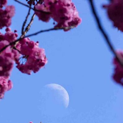 269-wett-2022-Chr.Alles-3v3