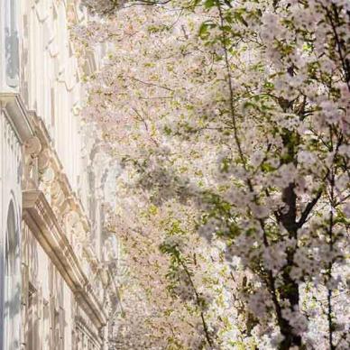 280-wett-2022-A.Perrotti-2v3