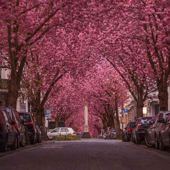 298-wett-2022-J.Neus-2v2