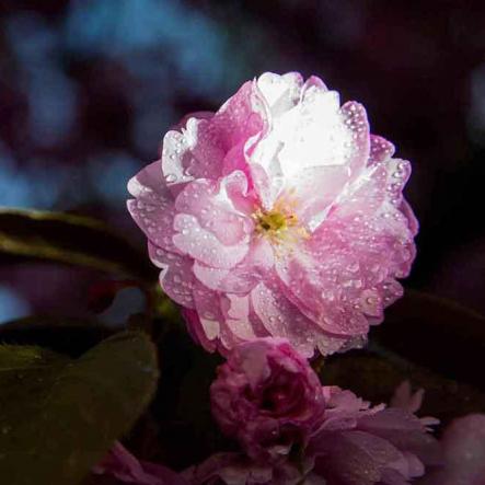 301-wett-2022-W.Eichhorst-3v3