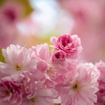 311-wett-2022-P-Lascorz-1v3