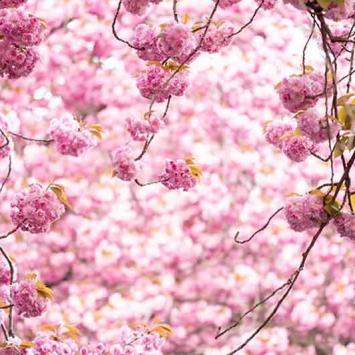 312-wett-2022-P-Lascorz-2v3