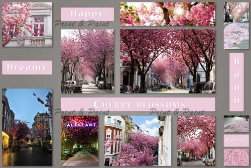 Bonn-Kirschbluete-Altstadt-Collage