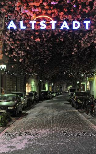 Bonn-Kirschblüte-6945