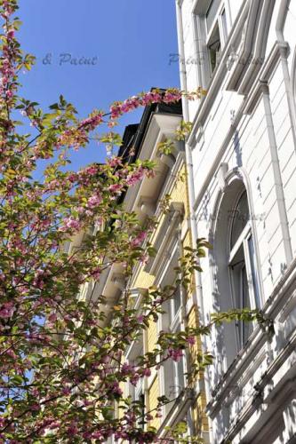 Kirschbluete-Bonn-printandpaint-1833