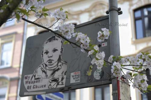 Kirschbluete-Bonn-printandpaint-7371