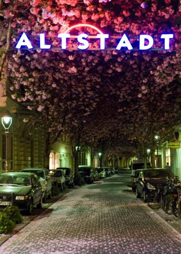 Ausstellung-Sania-50x70-Altstadt-Kirschblüte-DSC_6945
