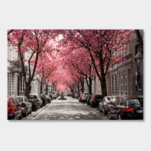 Template-shop-motive-11