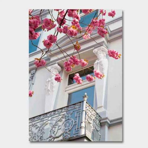 Template-shop-motive-16