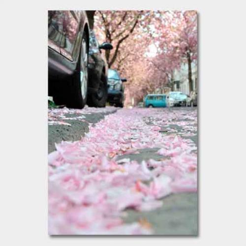 Template-shop-motive-17