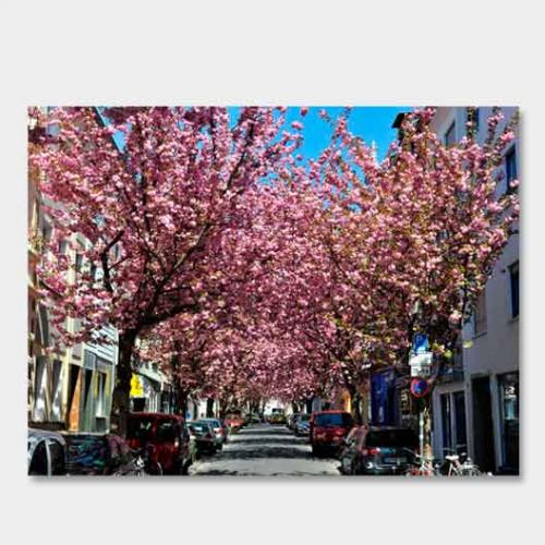 Template-shop-motive-18