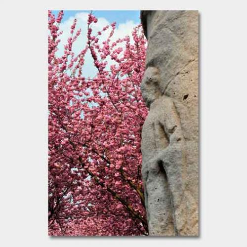 Template-shop-motive-20