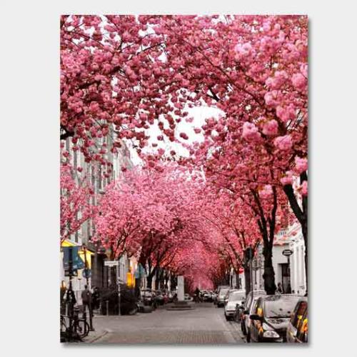 Template-shop-motive-21