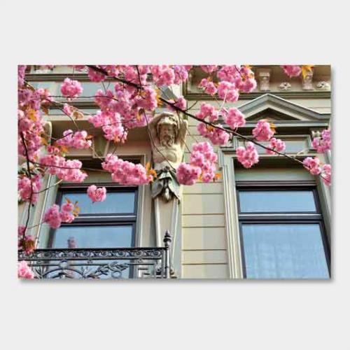 Template-shop-motive-22