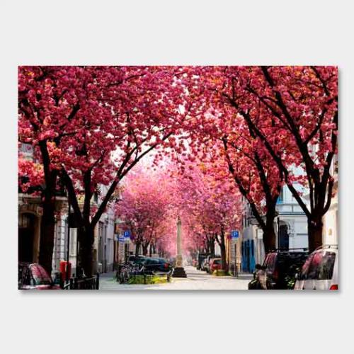 Template-shop-motive-27