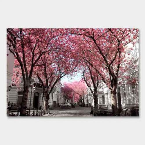 Template-shop-motive-30