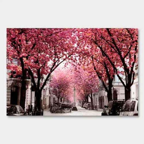 Template-shop-motive-31