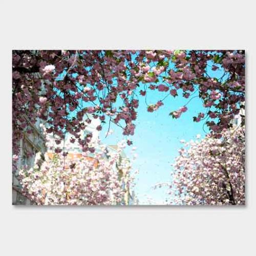 Template-shop-motive-32