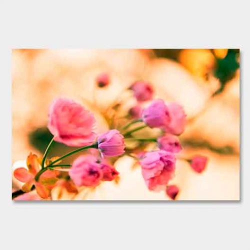 Template-shop-motive-33