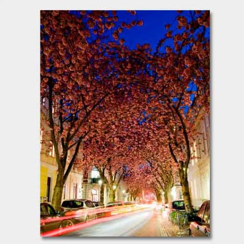 Template-shop-motive-34