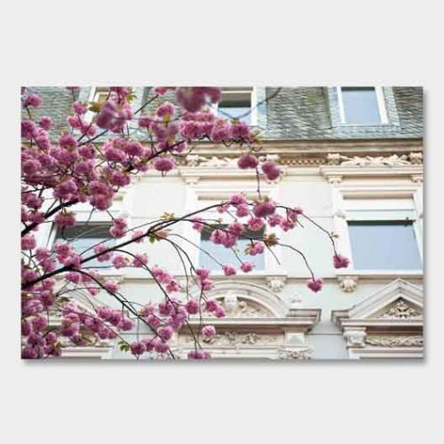 Template-shop-motive-35