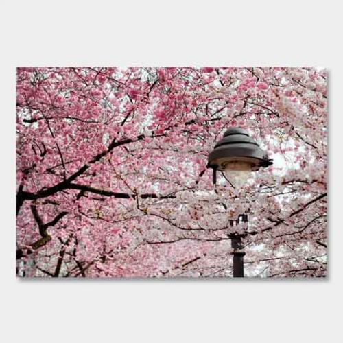 Template-shop-motive-36