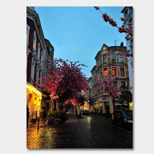 Template-shop-motive-37