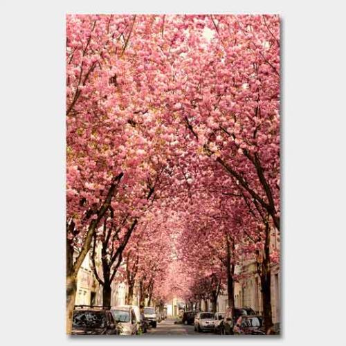 Template-shop-motive-38