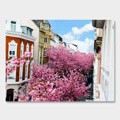 Template-shop-motive-39