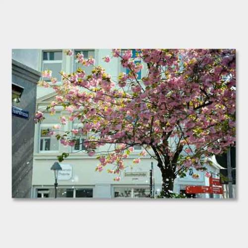 Template-shop-motive-4