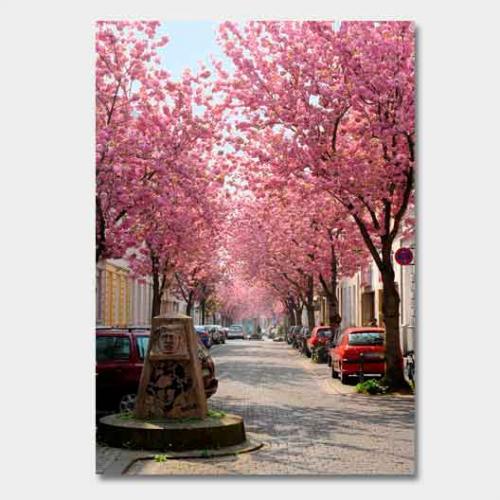 Template-shop-motive-40