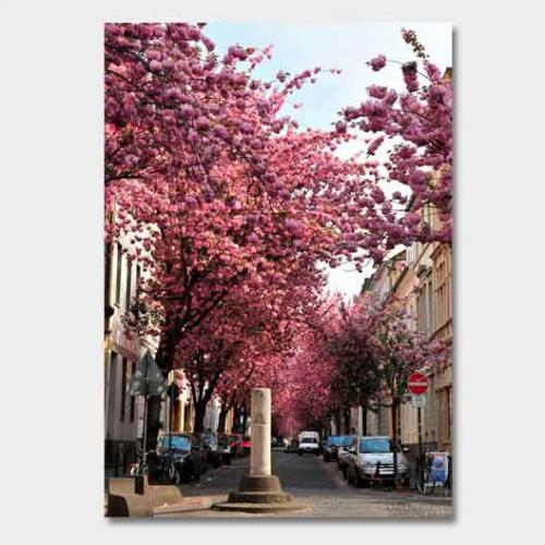 Template-shop-motive-41