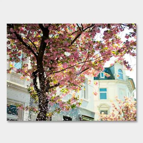 Template-shop-motive-42