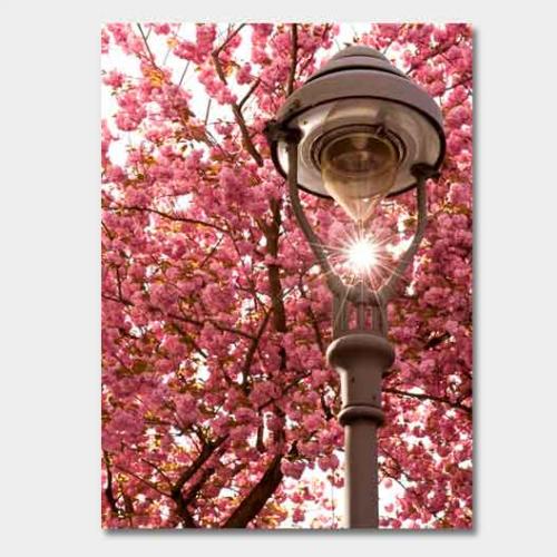 Template-shop-motive-43