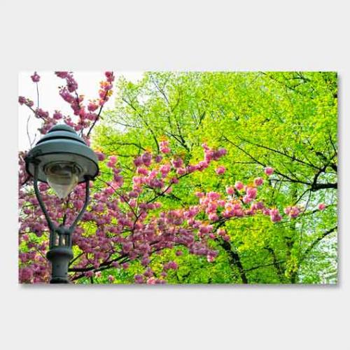 Template-shop-motive-45